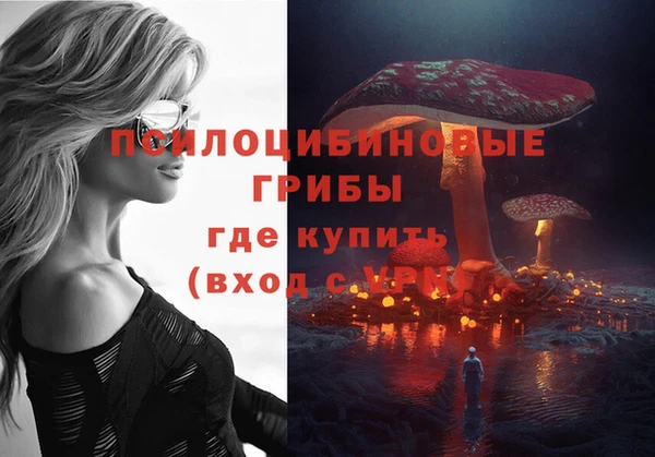 стаф Балахна